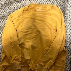 Aerie crewneck sweatshirt